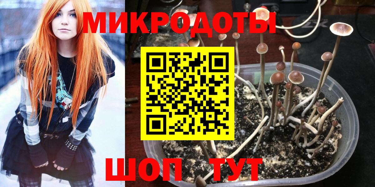 Феодосия  Псилоцибиновые грибы мицелий  Вход с VPN 